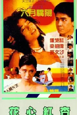 激情图片快播