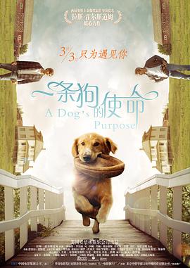 纤细的爱动漫ova无删减版hd