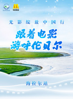 两个球球抖动抓球球