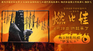 福利视频在线观看www.